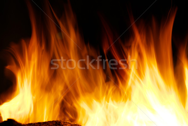 fire Stock photo © Pakhnyushchyy