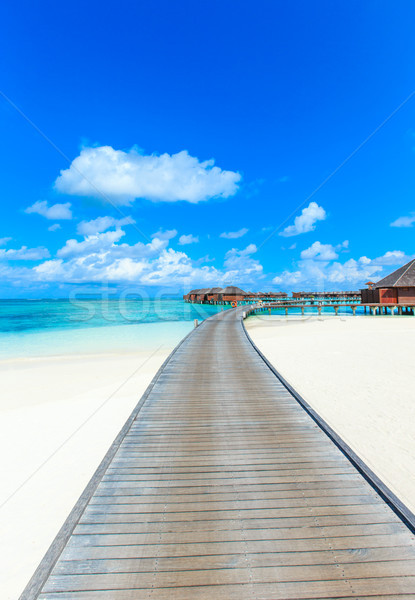  beach with Maldives Stock photo © Pakhnyushchyy