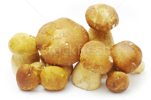 mushrooms  Stock photo © Pakhnyushchyy