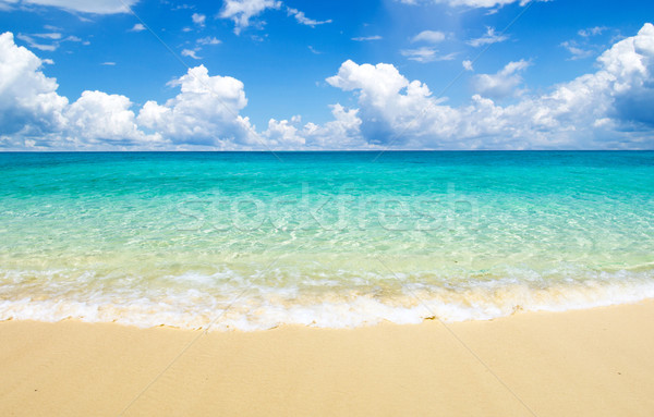 Mar belo praia tropical verão oceano Foto stock © Pakhnyushchyy