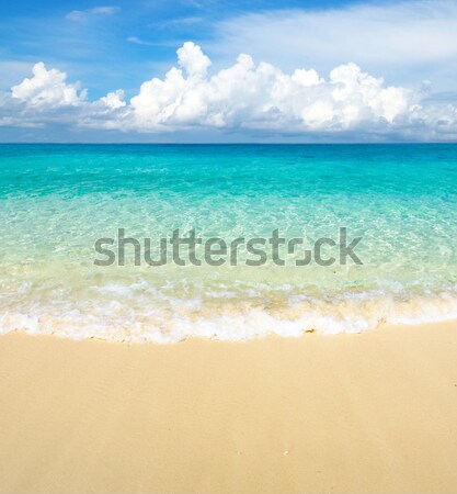 Tenger gyönyörű tengerpart trópusi víz háttér Stock fotó © Pakhnyushchyy