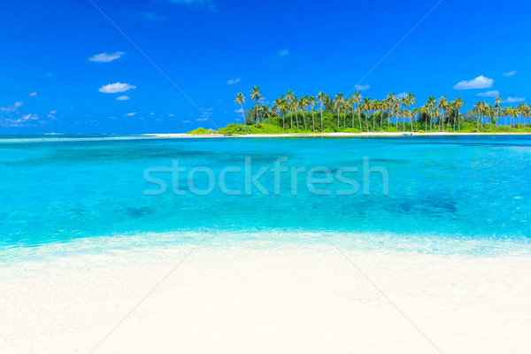 Plage tropicale palmiers bleu plage nature [[stock_photo]] © Pakhnyushchyy