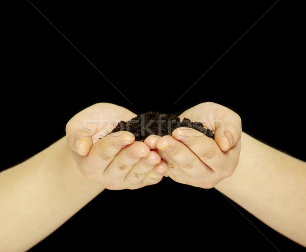 Stock photo: earth in hands 