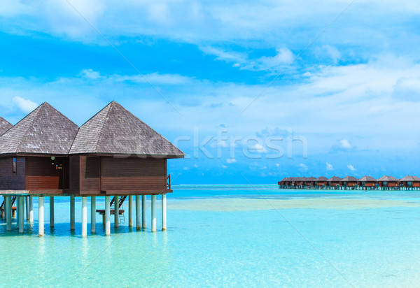 Imagine de stoc: Plajă · plaja · tropicala · palmieri · albastru · natură