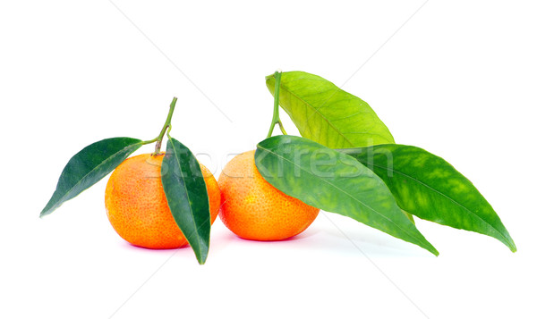 Mandarijn geïsoleerd witte vruchten oranje leven Stockfoto © Pakhnyushchyy