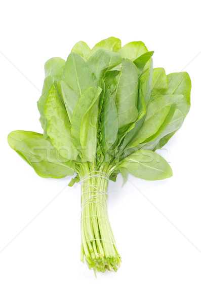  sorrel  Stock photo © Pakhnyushchyy