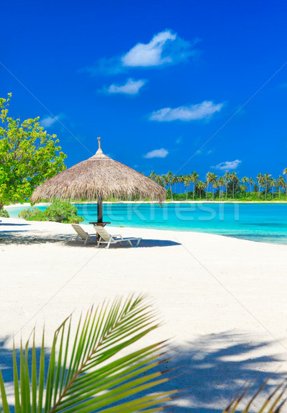 Foto stock: Playa · tropical · poco · palmeras · azul · playa · naturaleza