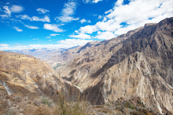 landscape Peru Stock photo © Pakhnyushchyy