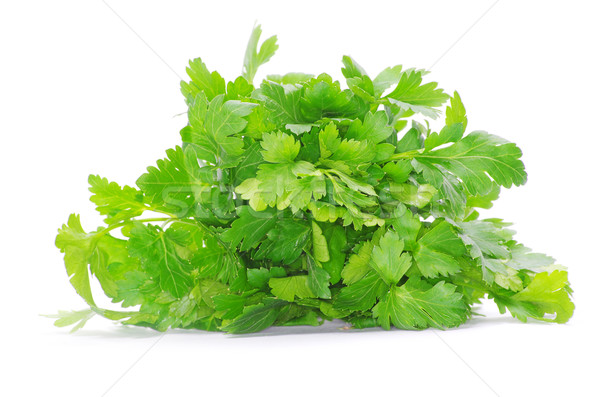 green parsley  Stock photo © Pakhnyushchyy