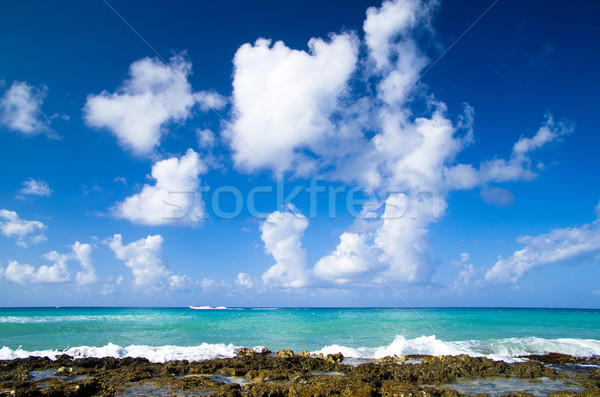 Stok fotoğraf: Tropikal · deniz · caribbean · plaj · doğa · arka · plan