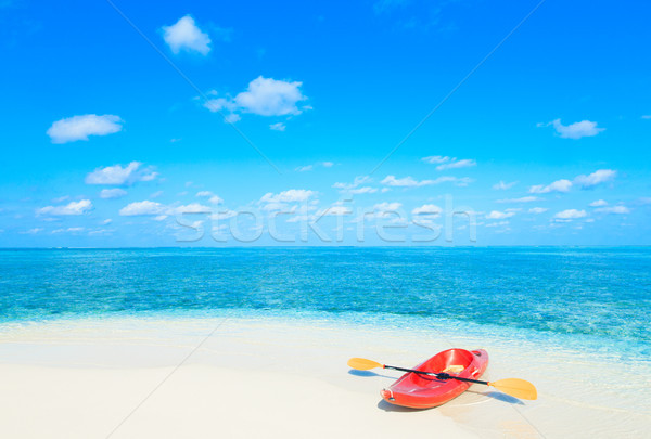 Imagine de stoc: Mare · alb · plaja · tropicala · palmieri · albastru