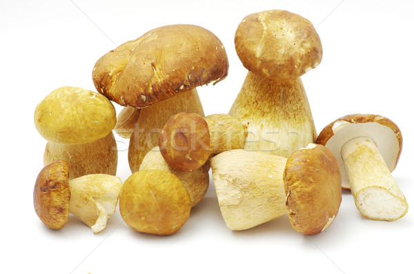  mushrooms  Stock photo © Pakhnyushchyy