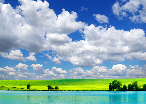 Natură câmp Blue Sky primăvară iarbă vară Imagine de stoc © Pakhnyushchyy