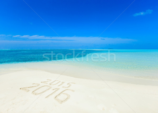 Plage tropicale palmiers bleu nature mer [[stock_photo]] © Pakhnyushchyy