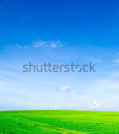 Foto stock: Campo · cielo · azul · primavera · hierba · naturaleza · césped