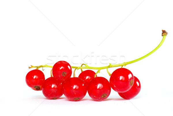 [[stock_photo]]: Rouge · groseille · isolé · blanche · feuille · fruits