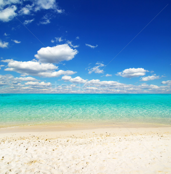 Meer schönen Strand tropischen Wasser Hintergrund Stock foto © Pakhnyushchyy