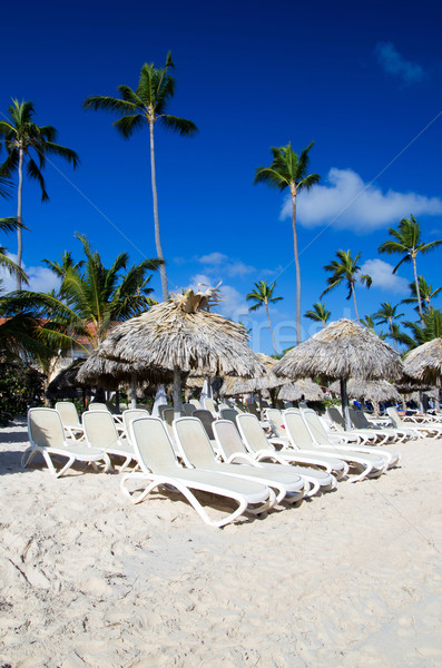 加勒比的 海灘 櫚 天堂 假期 旅遊 商業照片 © Pakhnyushchyy