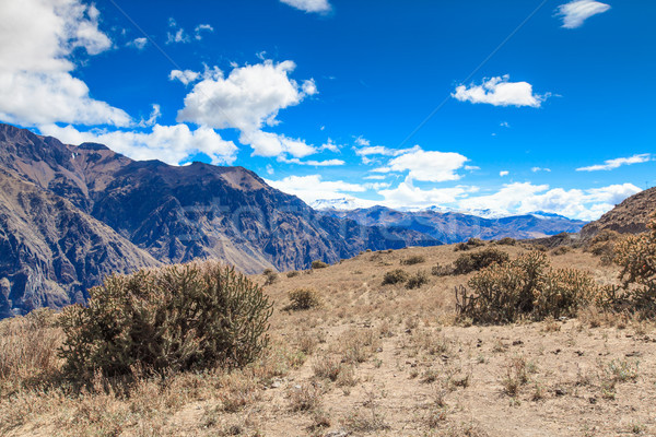 landscape Peru Stock photo © Pakhnyushchyy