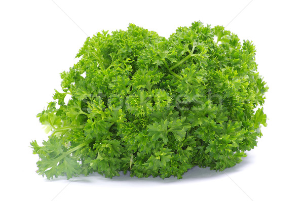 Pietruszka świeże zielone odizolowany biały Zdjęcia stock © Pakhnyushchyy