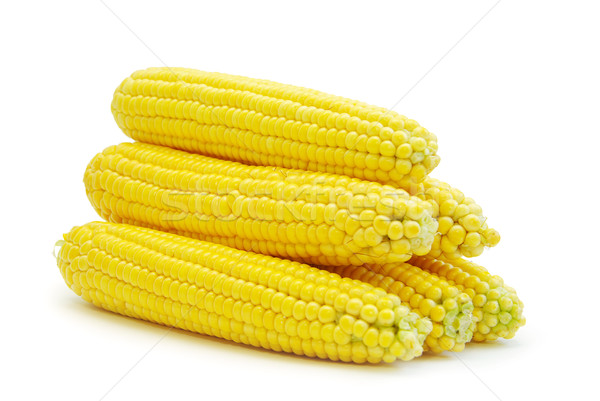  maize  Stock photo © Pakhnyushchyy