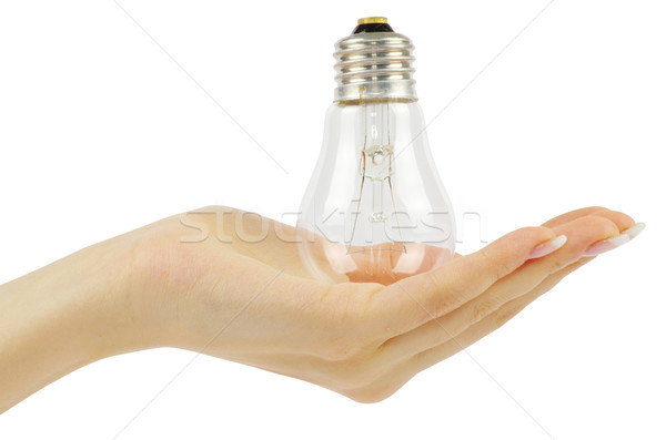  hand holding bulb  Stock photo © Pakhnyushchyy