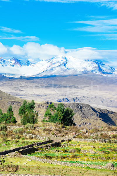 Peru Stock photo © Pakhnyushchyy