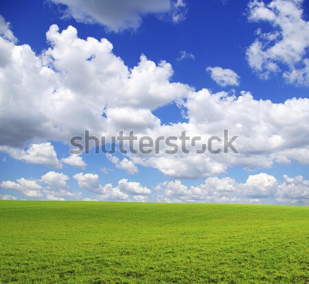 Domaine ciel bleu printemps herbe vert nuage [[stock_photo]] © Pakhnyushchyy