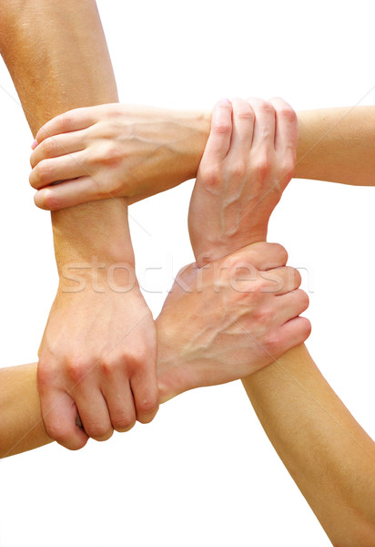  hands Stock photo © Pakhnyushchyy
