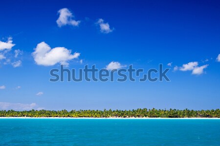 tropical sea Stock photo © Pakhnyushchyy