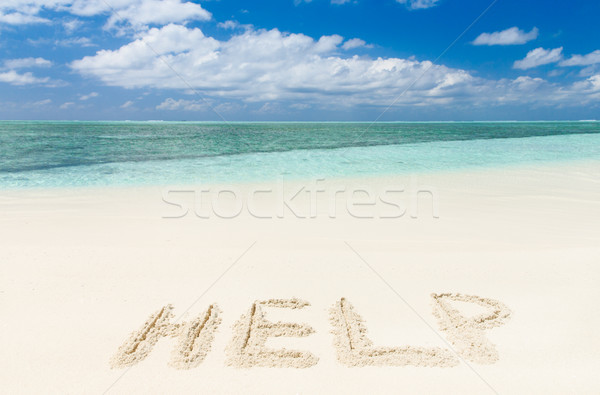 Plage plage tropicale palmiers bleu ciel [[stock_photo]] © Pakhnyushchyy