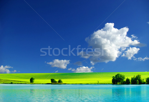 Câmp Blue Sky primăvară iarbă vară albastru Imagine de stoc © Pakhnyushchyy