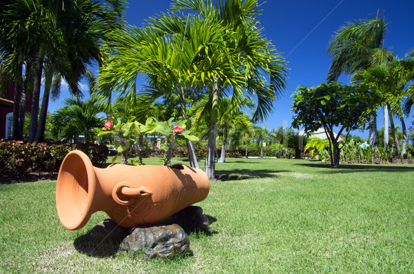 Garden Stock photo © Pakhnyushchyy