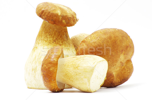  mushrooms  Stock photo © Pakhnyushchyy