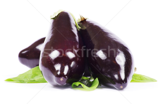 aubergine Stock photo © Pakhnyushchyy
