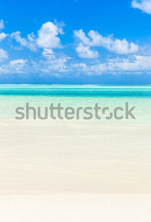 Stok fotoğraf: Plaj · tropikal · plaj · az · palmiye · ağaçları · mavi · gökyüzü