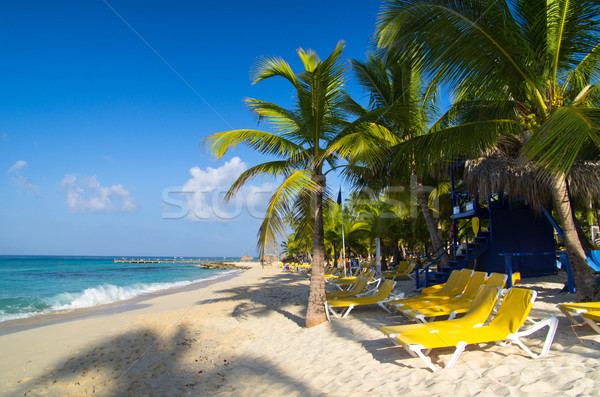 沙灘椅 棕櫚 櫚 海灘 水 景觀 商業照片 © Pakhnyushchyy