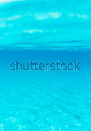 underwater scene with copy space Stock photo © Pakhnyushchyy