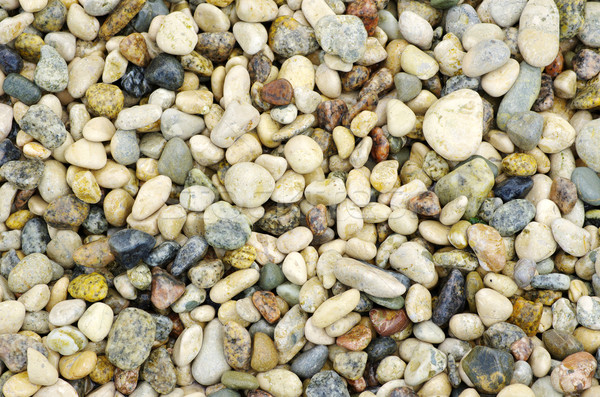 Kiesel Steine groß Strand Natur Sommer Stock foto © Pakhnyushchyy