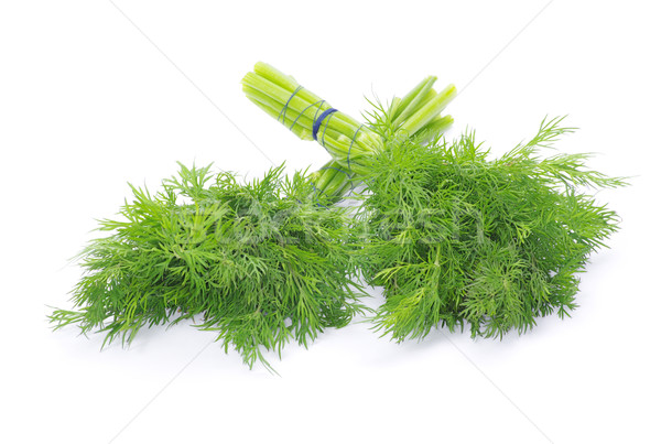 dill  Stock photo © Pakhnyushchyy