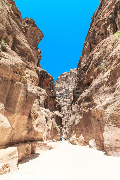 The Siq, the narrow slot-canyon Stock photo © Pakhnyushchyy