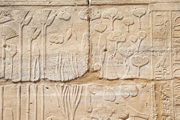 old egypt hieroglyphs carved on the stone Stock photo © Pakhnyushchyy