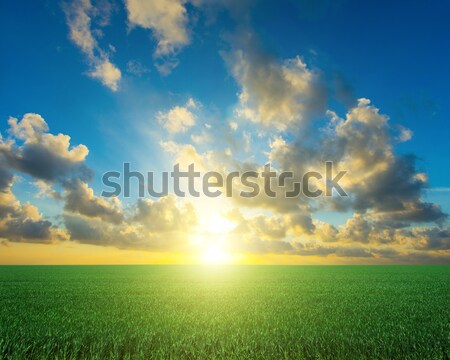 [[stock_photo]]: Domaine · coucher · du · soleil · agricole · vert · ciel · paysage