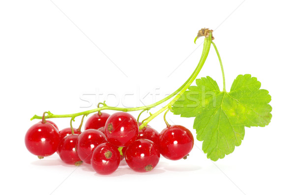 red currant  Stock photo © Pakhnyushchyy