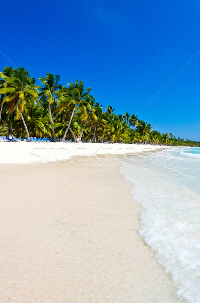  beach and tropical sea Stock photo © Pakhnyushchyy