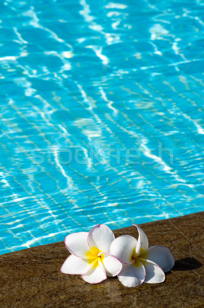 Flori floare tropicala piscină floare natură spaţiu Imagine de stoc © Pakhnyushchyy