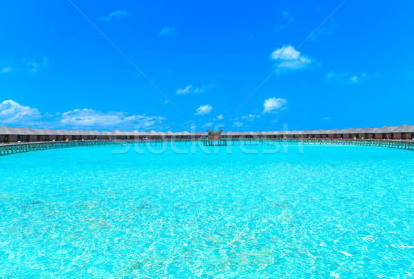 тропический пляж пальмами синий пляж природы Сток-фото © Pakhnyushchyy