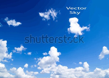 cloudy sky Stock photo © Pakhnyushchyy