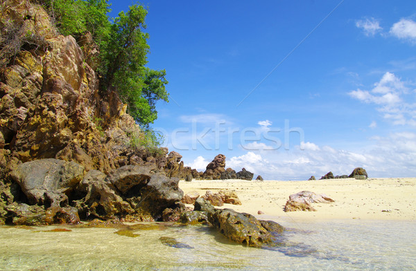 Kövek tenger Krabi fa fű természet Stock fotó © Pakhnyushchyy