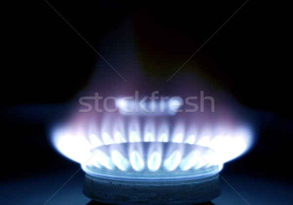 Blue flames of gas  Stock photo © Pakhnyushchyy